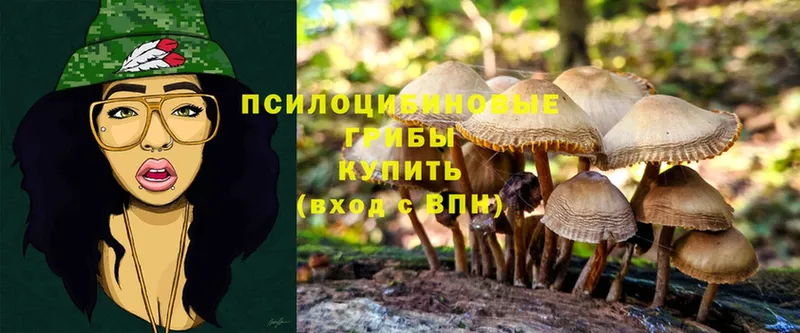 Галлюциногенные грибы MAGIC MUSHROOMS  цена   мега ССЫЛКА  Киров 